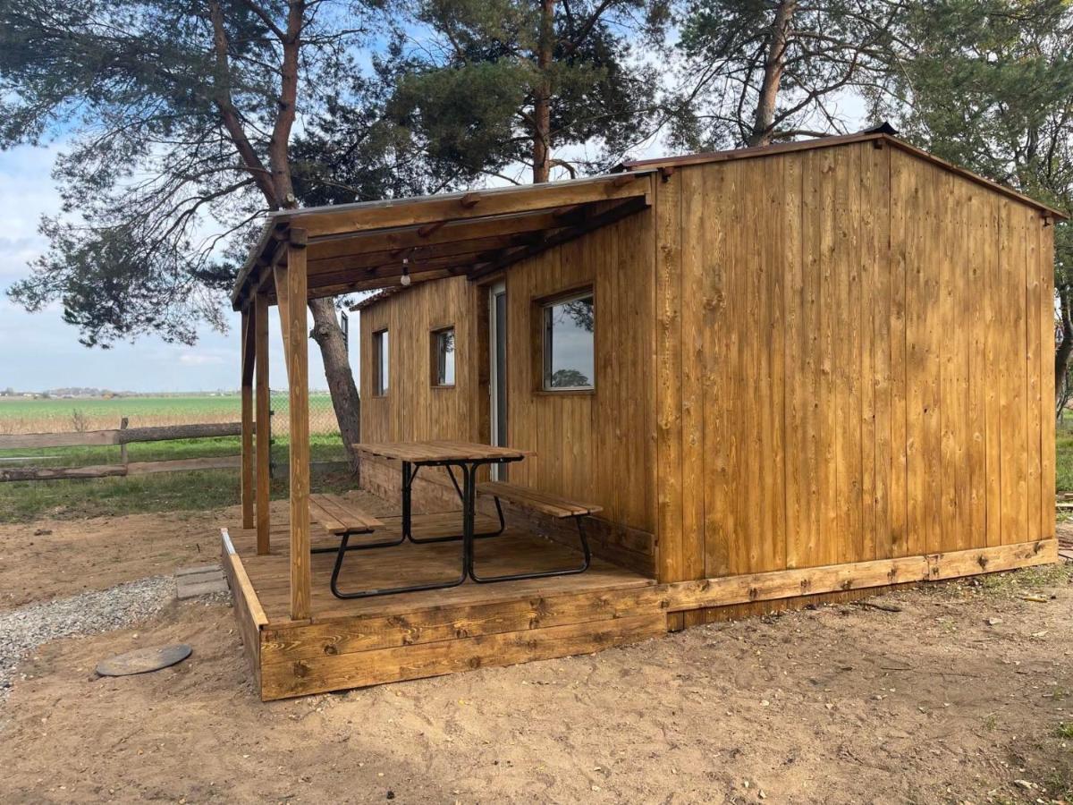 Pronajem Dreveneho Mobilheimu Stit Daire Chlumec nad Cidlinou Dış mekan fotoğraf